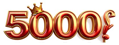 hoki 5000